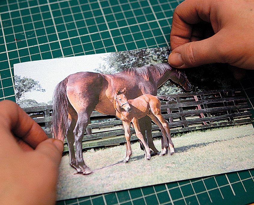 Kesilmiş at ve tay katmanlarını köpük bantla fotoğrafın üzerine yerleştiren eller