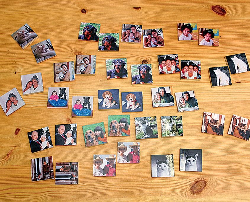 Hafıza oyunu için ahşap masaya dizilmiş, aile ve hayvan fotoğraflarından yapılmış küçük kartlar
