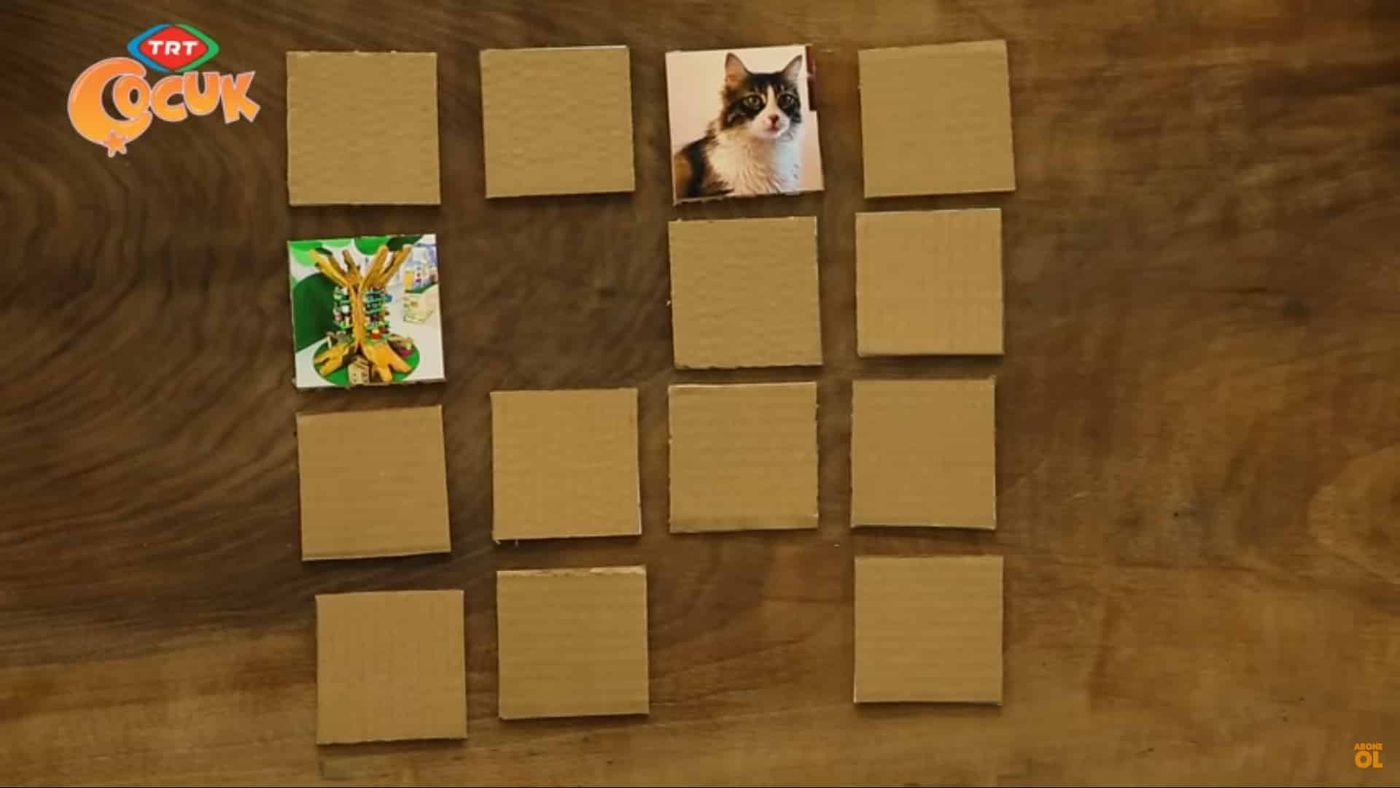 Koli kartonundan kare hafıza kartları ters dizilmiş, açılan ikisinde kedi ve bitki fotoğrafı görünüyor