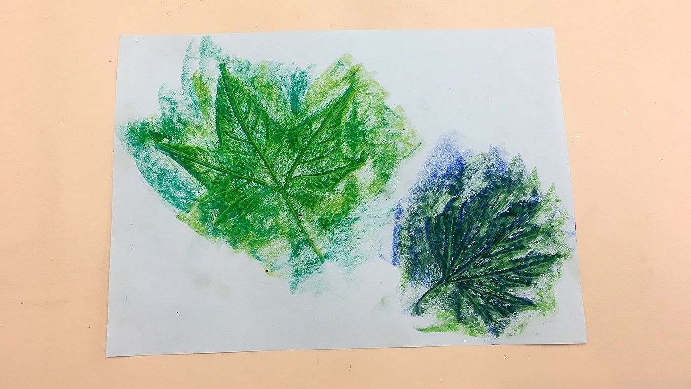 Beyaz kağıda yeşil ve koyu yeşil pastel boyayla sürtülerek kopyalanmış iki damarlı yaprak
