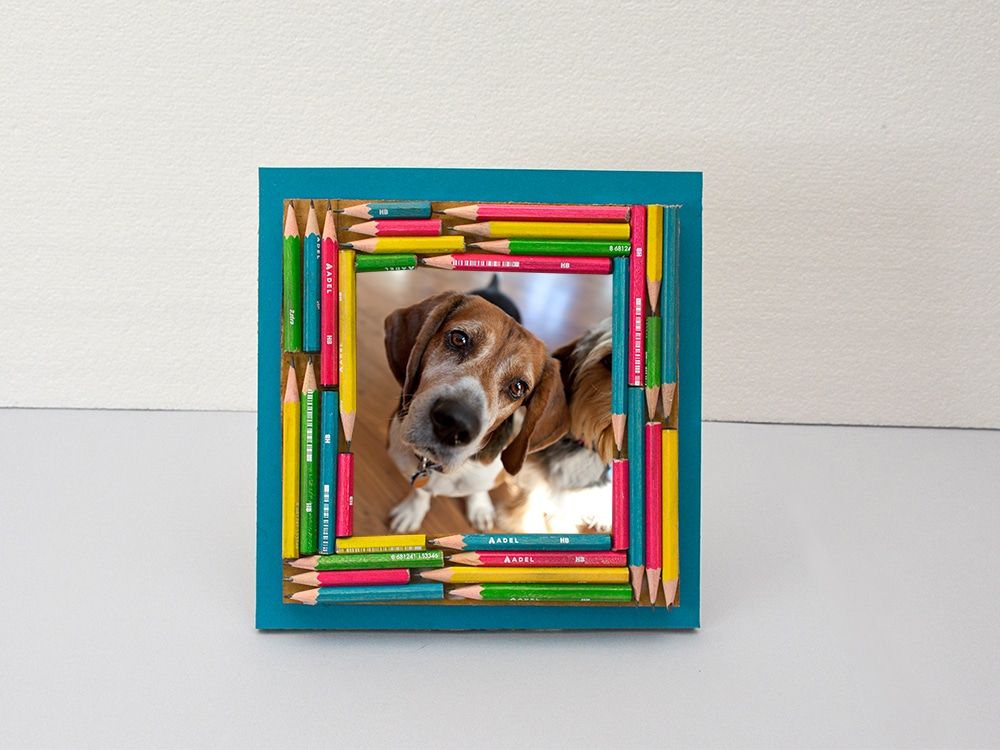 Kalem çerçeve: kısalmış renkli kurşun kalemlerle kaplanmış turkuaz çerçeve, içinde köpek fotoğrafı