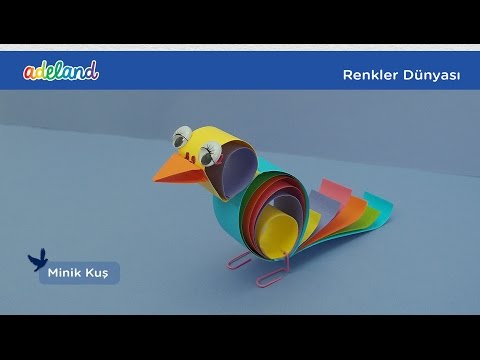 Video önizleme karesi: Renkli Kuş