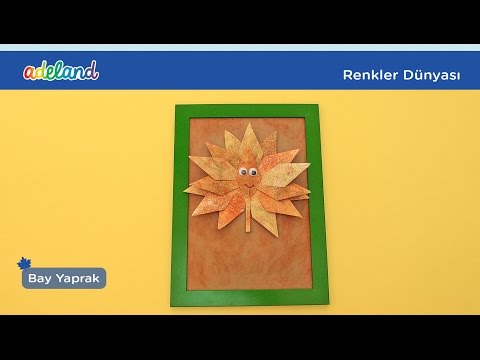 Video önizleme karesi: Bay Yaprak