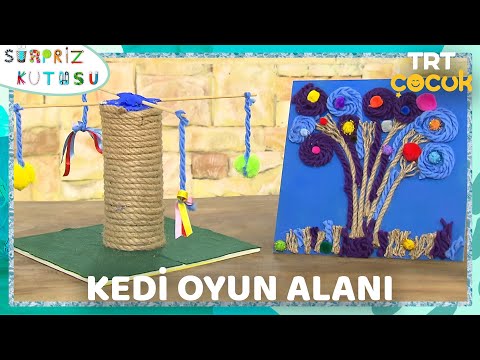 Video önizleme karesi: Kedi Oyun Alanı