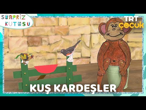 Video önizleme karesi: Kuş Kardeşler