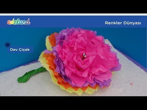Video önizleme karesi: Dev Çiçek