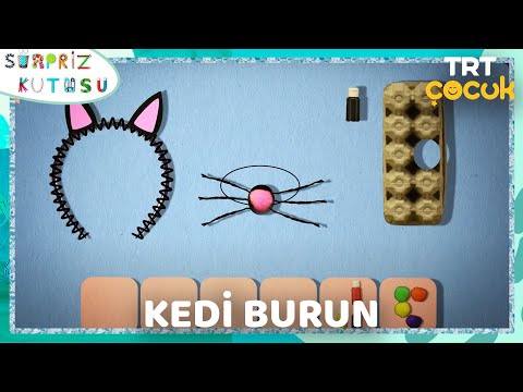 Video önizleme karesi: Kedi Burun