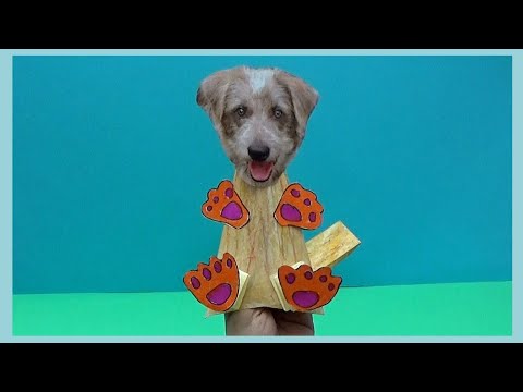 Video önizleme karesi: Kağıttan Köpek El Kuklası Yapımı